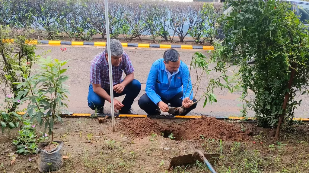 Tree Plantation Drive Nagata V 11zon