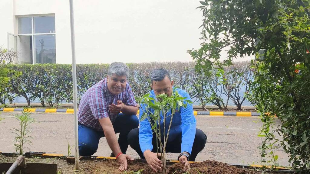 Tree Plantation Nagata (3) 11 11zon 11 11zon